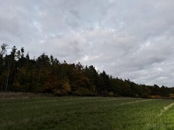 Prodej pozemků v k.ú. Nezdice nad Úhlavou - 1