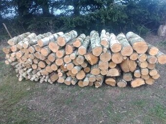 Prodám palivové dřevo břízu