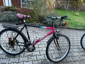 Horské panské kolo