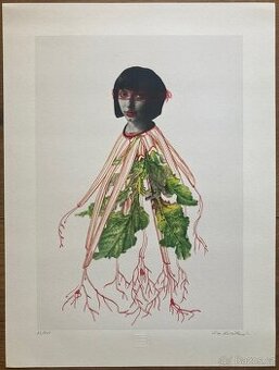 Eva Koťátková - Replanted - 1