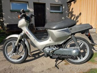 Honda Wallaroo