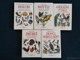 Okrasní ptáci, Holubi, motýli, drůbež