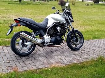 YAMAHA BT 1100 Bulldog