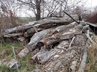 Dřevo za odvoz