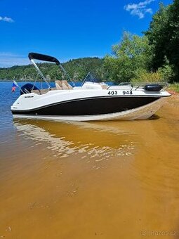 Quicksilver Activ 555