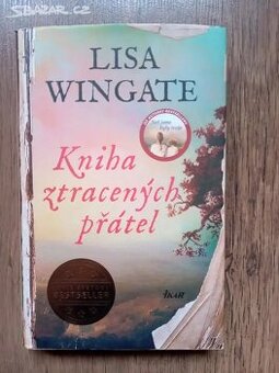 Lisa Wingate Kniha ztracených přátel