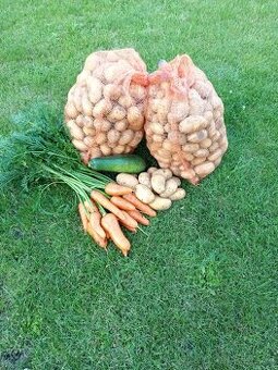 Brambory Marabel na uskladnění, mrkev (Chamare), červená řep
