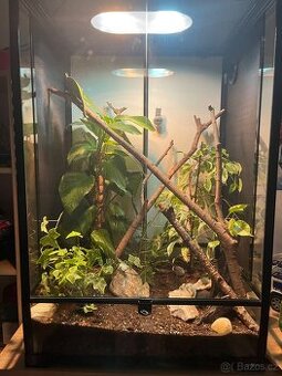 Terárium i s chameleonem