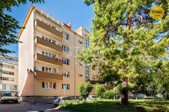 BYT 2+KK PO CELKOVÉ REKONSTRUKCI, Brno Královo pole, 133353