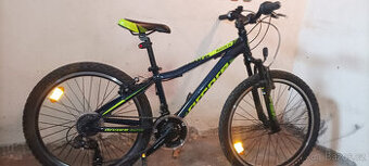 Horské kolo zn. Arcore MADUK 24