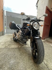 Suzuki SFV 650 Gladius