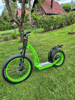 Hugo Bike Big One X