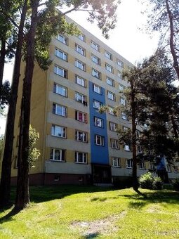 Pronájem bytu 1+1 v Karviné, ul.Kašparova