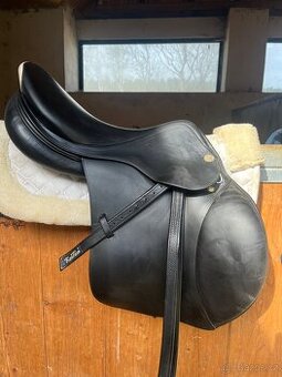 Prestige appaloosa (equipe) - 1
