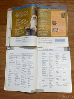 Ucenice  racovni sesit Schritte 2