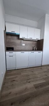 Dlouhodobý pronájem bytu 1+1 - 1