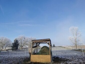 pastevní ustájení