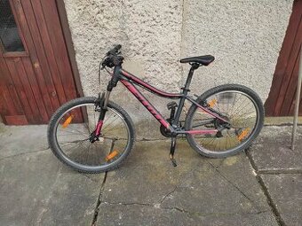 Scott Contesa jr 26"