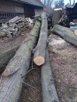 Prodám lipové dřevo