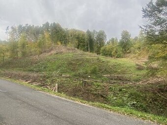 Prodej trvalé travnaté plochy a lesa po těžbě