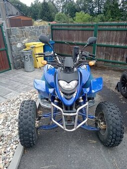Shineray 250 atv