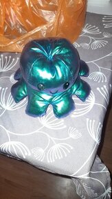 Chobotnice oboustranna