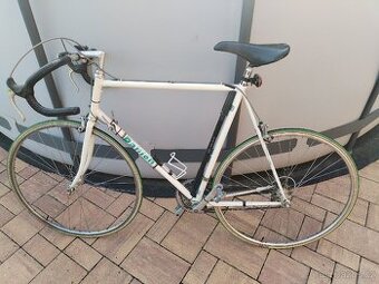 Retro kolo Danion - 1