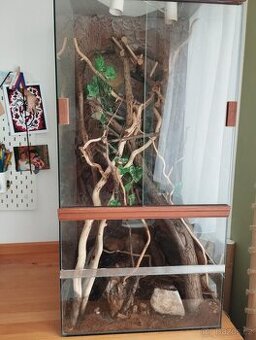 Terárium pro chameleona