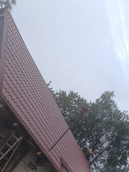 🛠️ Střecha? Plot? Nátěr? Vše zvládnu – levně, rychle, spole