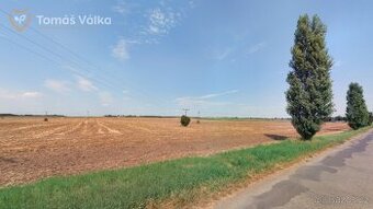 Prodej polí s dobrou bonitou – 5 ha – kú Černuc