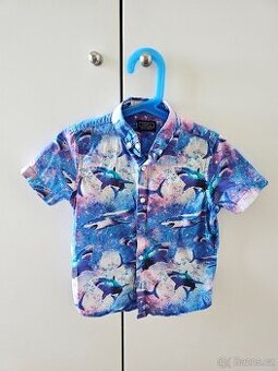 Letní i celoroční košile, vel. 110, 116 (více foto uvnitř)