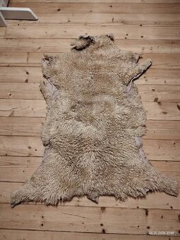 Ovčí kožešina, vlna 3