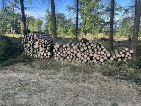 Palivové Dřevo - 1