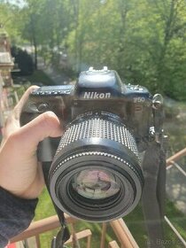 Nikon F50 + 80-200 - 1