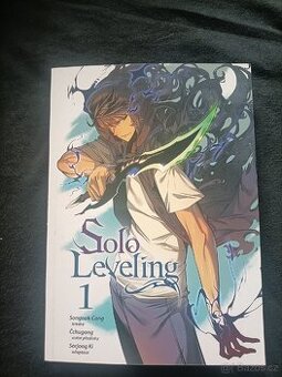 Kniha Solo leveling