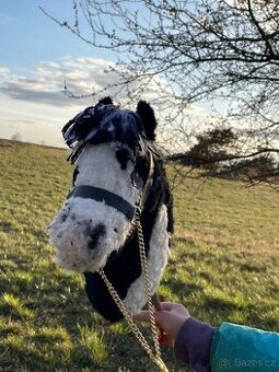 Hobby horse