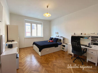 Pronájem bytu 1+1, V Horkách, Nusle, 18.500 Kč/měs, 52 m2