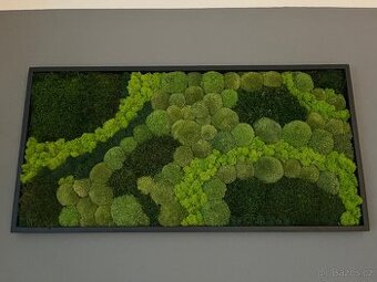 Novy mechovy obraz XL 120x60 cm