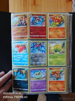 Pokémon kartáčky