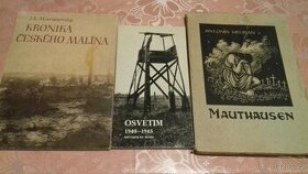 Kronika českého Malína, Mauthausen, Osvětim,