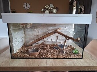 Terarium
