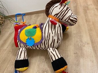 Zebra Ryan