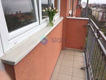 Podnájem bytu 2+1 55 m2, ul. Výškovická 2591/93, Ostrava - Z