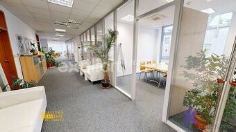 Pronájem reprezentativních kancelářských prostor – 220 m² v