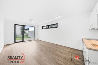 Prodej, byty/1+kk, 37.2 m2, Železná 3057/8, Jižní Předměstí,