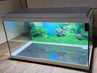 Akvárium Aquatlantis Advance 60l s osvětlením