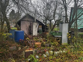 🌿zahrádka ŠAFRANICA V HRANICÍCH 🏡✨ - 1