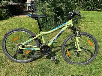 🚴‍♂️ Horské kolo Author A-Matrix 12,5”, kola 24"