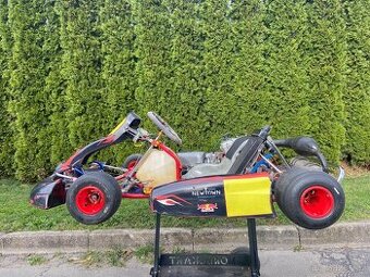 Motokara Birel 125 (výměna )