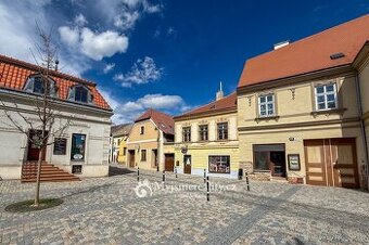 Prodej rodinného domu 4+1, zahrada, 300 m2 - Znojmo, Horní Č